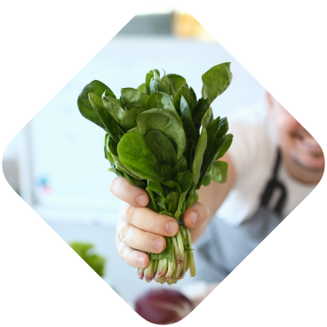 Sorrel Herb Bunch